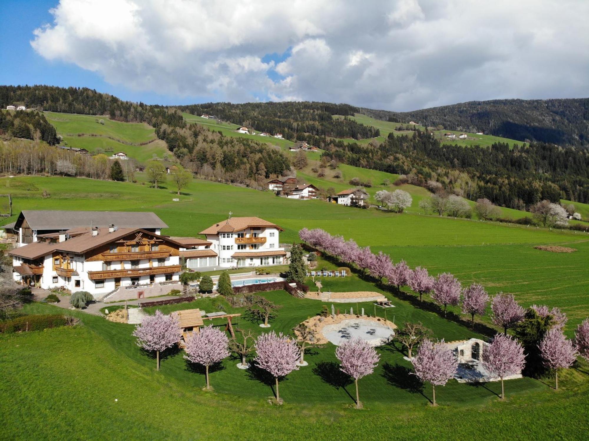 Hotel Nussbaumerhof *** Rodengo Esterno foto